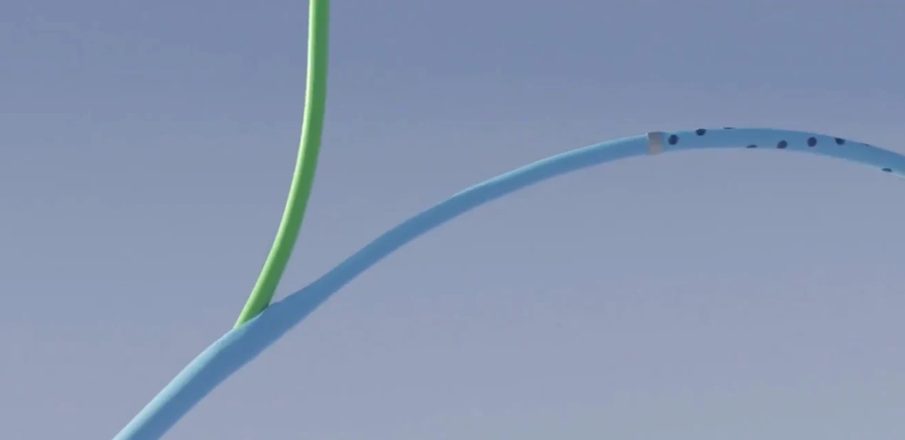 Official Versus catheter visualization